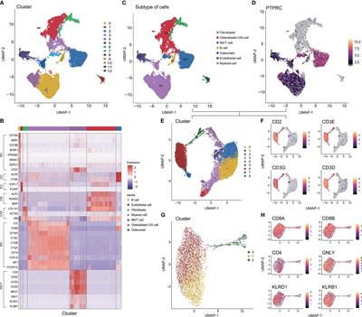 Single-cell RNA-seq reveals T cell exhaustion and immune response landscape in osteosarcoma